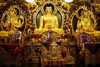 IMG-20191105-WA0062