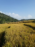 20191105_144114