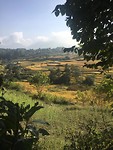 IMG-20191105-WA0036