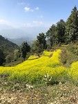 IMG-20191107-WA0020