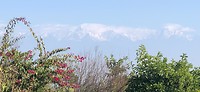 IMG-20191107-WA0011