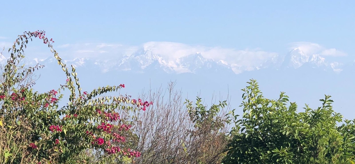 IMG-20191107-WA0011