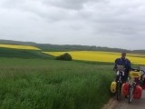 Honderden km gefietst tussen de koolzaadvelden