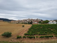 Landschap met zicht op Estella (Navarra)