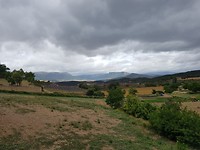 De Navarra met o.a. lavendel