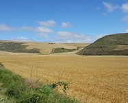 graanvelden als een gletsjer in het landschap
