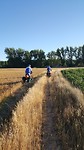ook de Garmin leidt ons wel eens over de verkeerde route