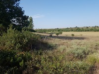stoppelveld, provincie Leon