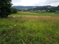 op weg naar Santiago