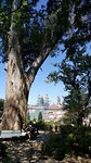Adios Santiago