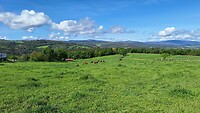 IMG-20240429-WA0019