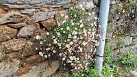 IMG-20240430-WA0039