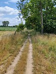 IMG_20220620_134747