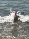 Golven