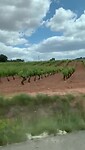 VID-20230516-WA0000