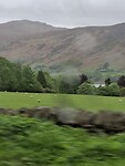 IMG-20260524-WA0008