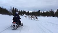 VID-20190216-WA0032