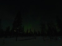 28326128_Unknown