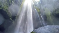 1000024774