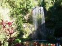 Millaa Millaa Falls