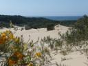 zandduinen