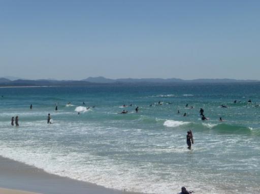 surfers