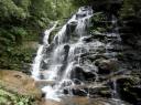 Blue Mountains (4)