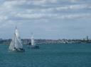 zeilboten in Auckland