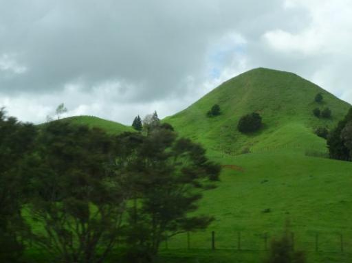 landschap