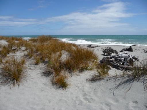 Mount Aspiring National Park (1)