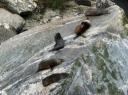 Milford Sound (4)