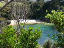 Stewart Island (16)