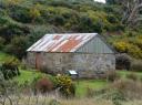 Stewart Island (15)
