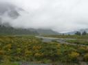 TranzAlpine (1)