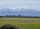 TranzAlpine (2)