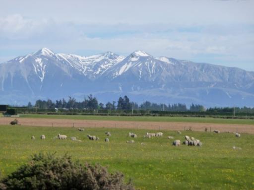 TranzAlpine (2)