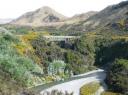TranzAlpine (4)