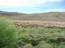 TranzAlpine (5)