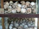 killing fields (2)
