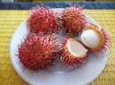 fruit