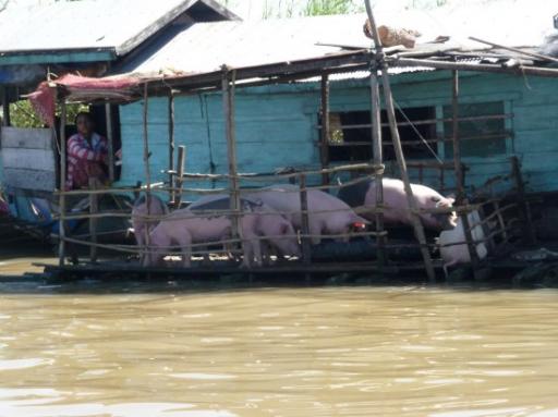 floating villages (1)