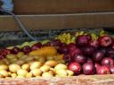 floating market (1)