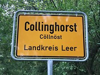 Collinghorst