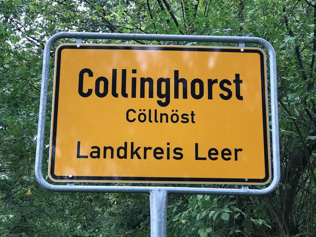 Collinghorst