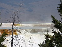 Terrassen Mammoth Hot Springs