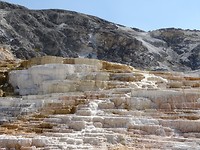 Terrassen Mammoth Hot Springs 2