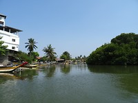 DSC00011