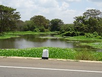 DSC00085