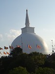 DSC00105