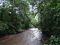 Carara national park